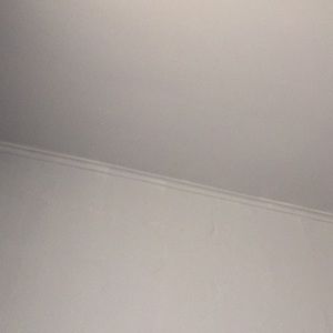 Meet your Posher, Donte